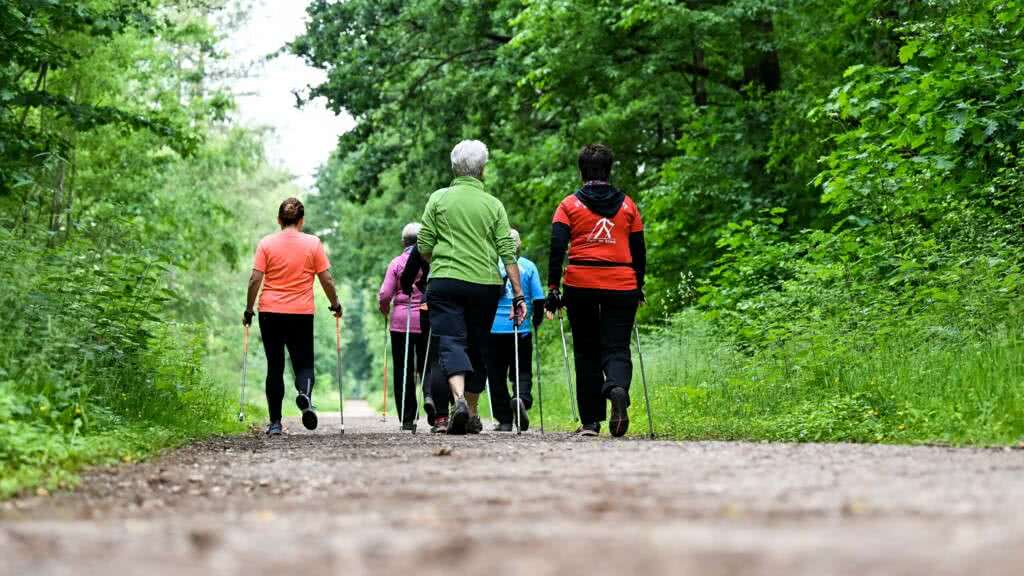 Fit im Alter Walking 