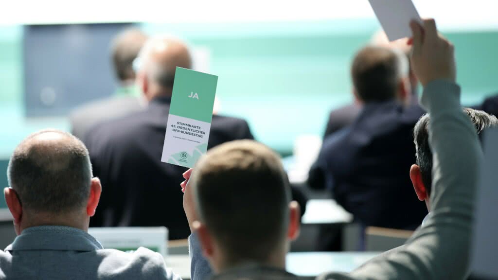 DFB Bundestag Stimmfahne