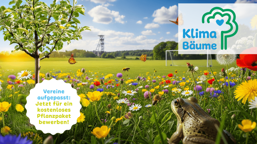 Klimabäume IGA 2027